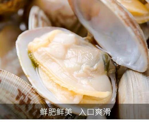 鲜活花甲 2斤  新鲜水产 商品图3