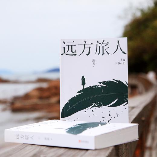 远方旅人(全2册) 商品图1