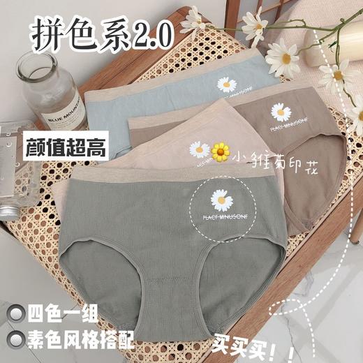 拼色系列可爱少女内裤舒适透气石墨烯底裆网红爆款小雏菊印花内裤 商品图2