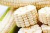 农科院粮食所基地明玉1203糯玉米 商品缩略图4