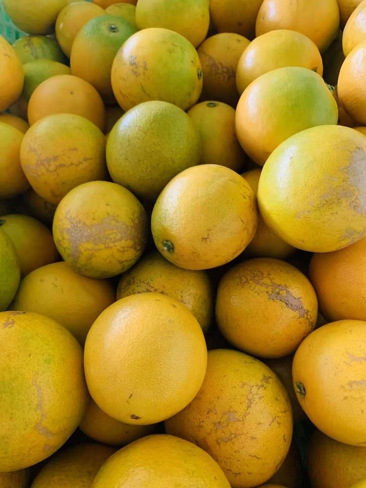 华宁盘溪新村老树花斑果10斤 酸甜口感