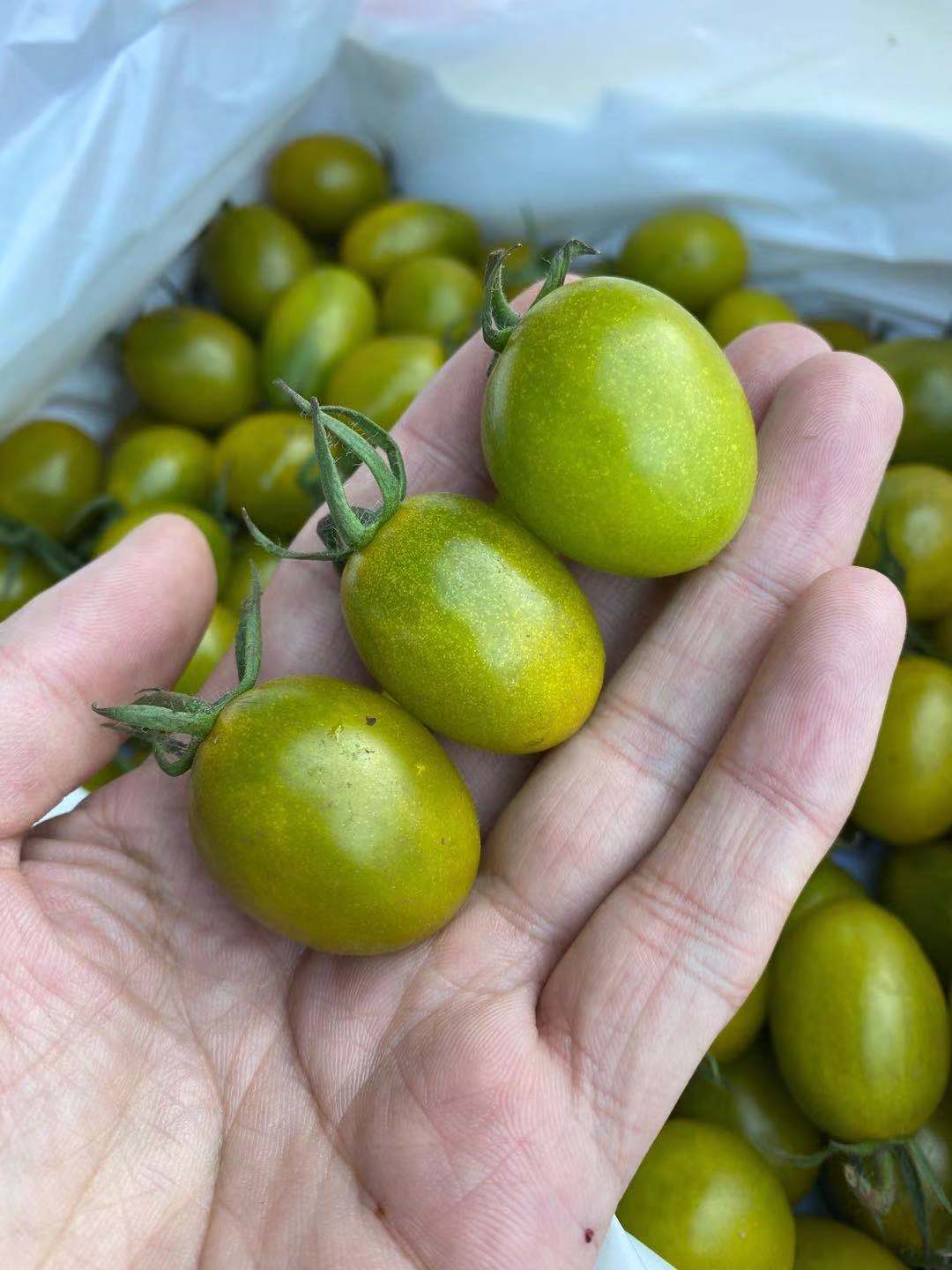 周六秒杀绿王婆千禧无敌新鲜每颗香甜满嘴爆酱香甜爆汁