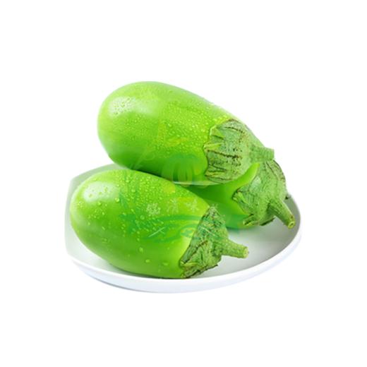 【赞】营养有机菜 绿茄子 0.