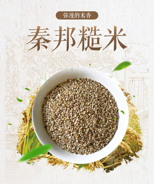 糙米 商品图0