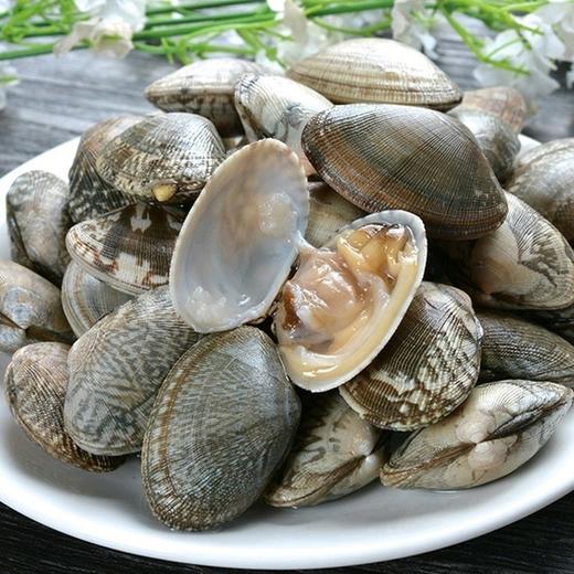 鲜活花甲 2斤  新鲜水产 商品图4