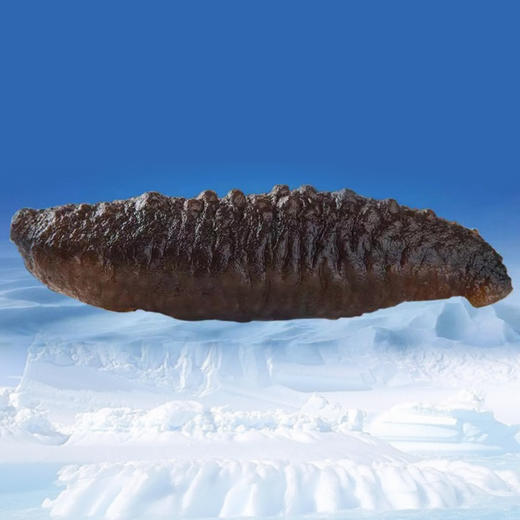 御歆坊冰岛即食海参60头（毛重4斤左右） 商品图3