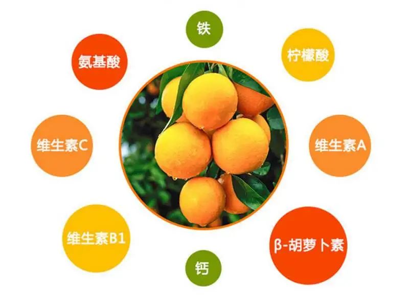 脐橙十大好处是什么(脐橙好不好)