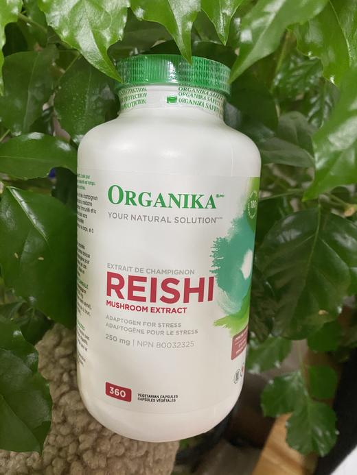 国内现货！！加拿大Organika 灵芝胶囊360粒250mg 商品图3