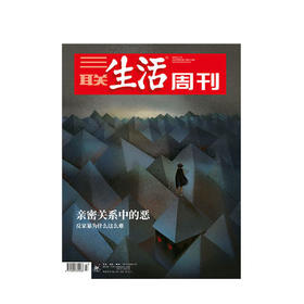新书预售 【三联生活周刊】2020年第三联生活周刊2020第47期 亲密关系中的恶 反家暴为什么这么难