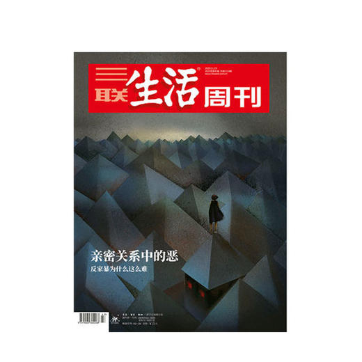 新书预售 【三联生活周刊】2020年第三联生活周刊2020第47期 亲密关系中的恶 反家暴为什么这么难 商品图0