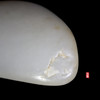 和田玉（白玉）独籽原石 23.63g（价格面议） 商品缩略图2