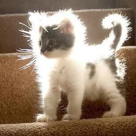 又快到每天被“电”十几次的季节，试试这几招~