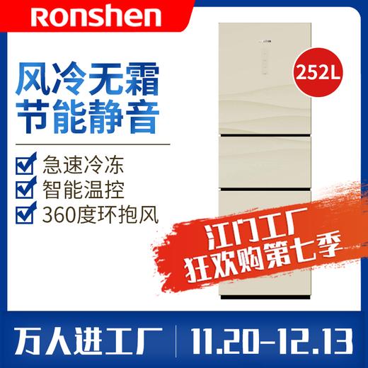 容声冰箱BCD-252WRC2NYC-CC51 商品图0