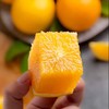 【码帮直采 2026 】江西赣南脐橙 新鲜水果 赣州甜橙子当季水果（记者原产地直采） 商品缩略图1