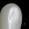 和田玉（白玉）独籽原石 25.11g（价格面议） 商品缩略图2