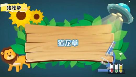 3--4岁--语言P24植物--猪笼草 商品图0