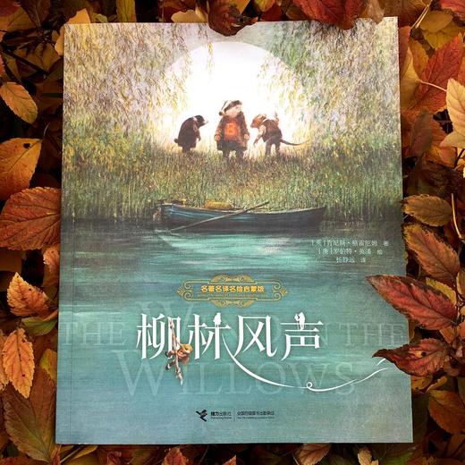 柳林风声 商品图2