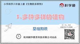 6.4.3《多种多样的植物》基础课程