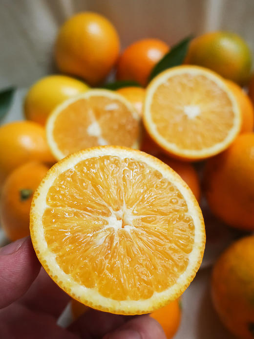 云南哀牢山 冰糖橙/褚橙 9斤装/份 下单72小时内产地发货!