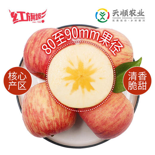 红旗坡有机冰糖心苹果5kg 商品图0