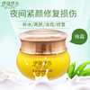 【限时大促！下单即赠 修护霜50g*1盒)伊草伊木植物精华美颜霜晚霜抗衰老补水夜间修复肌肤 商品缩略图3