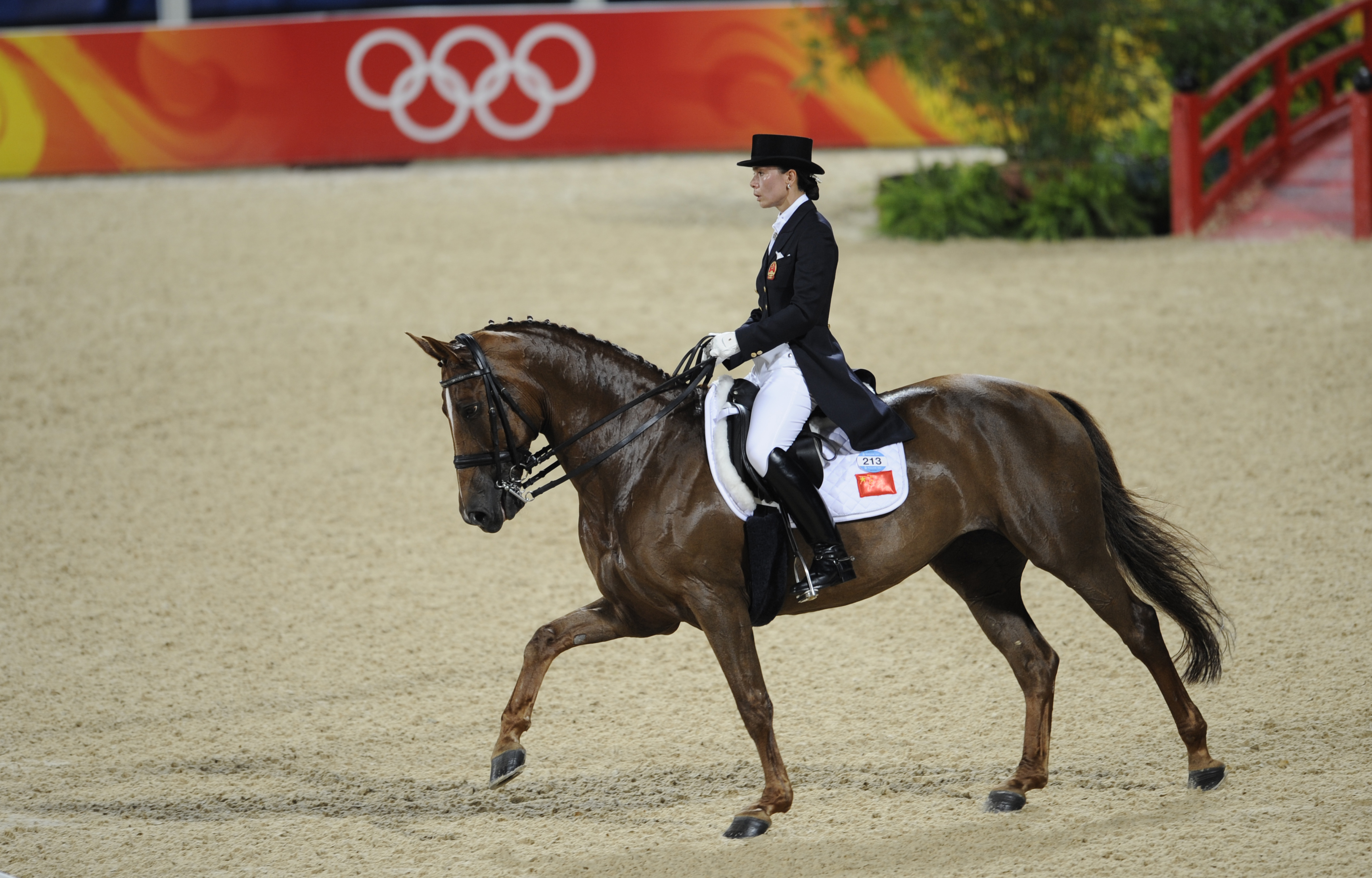 盛装舞步(快乐时光)