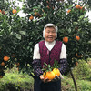 助农 | 秭归脐橙纽荷尔香橙 不打蜡 果肉饱满多汁 果园现摘现发 商品缩略图0