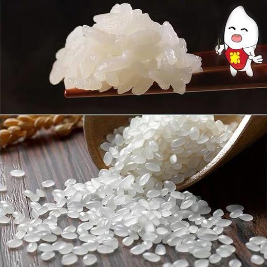 来亿秋田小町米19.5kg   39斤装大米 商品图0