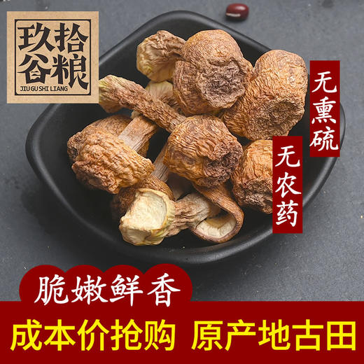 云南野生姬松茸 200克 商品图0