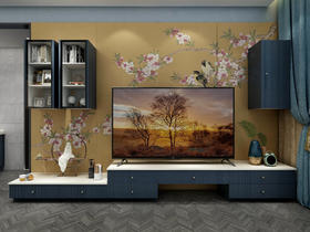 意墨新中电视柜