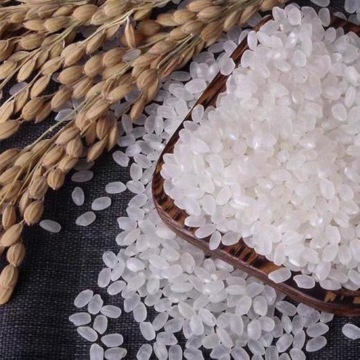 来亿秋田小町米19.5kg   39斤装大米 商品图1