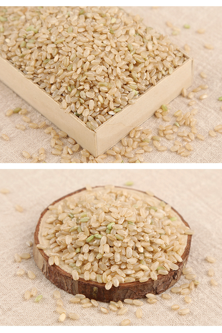 厂家直销 糙米 胚芽米熬粥米粗粮真空包装五谷杂粮批发贴牌代加工