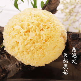 古田特级丑耳（银耳球干货）200克 健康无熏硫