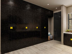 茶香丽舍玄关柜