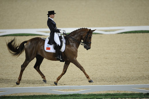 盛装舞步（单次骑乘） 商品图1