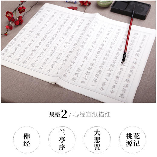 中盛画材毛笔字帖成人小楷心经抄经临摹本入门行书法宣纸套装 商品图2