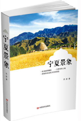 宁夏景象（一部集深厚文化积淀与人文情怀的文学精品，一部带有温度的旅游指南。）