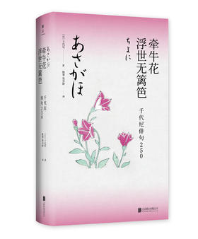 牵牛花浮世无篱笆