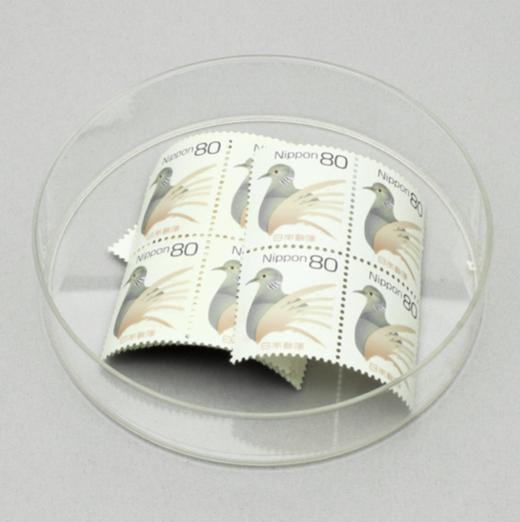 塑料灭菌皿 商品图1