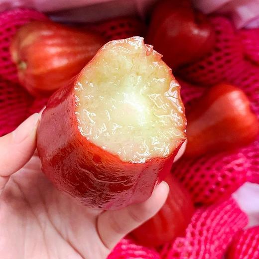 黑金刚莲雾果1个 约150g 商品图0
