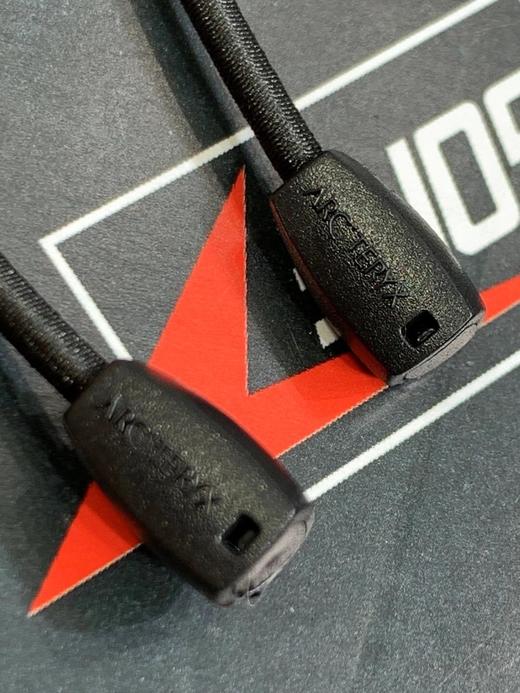 点此购买 始祖鸟男款金标连帽羽绒服外套 十一167188 商品图10