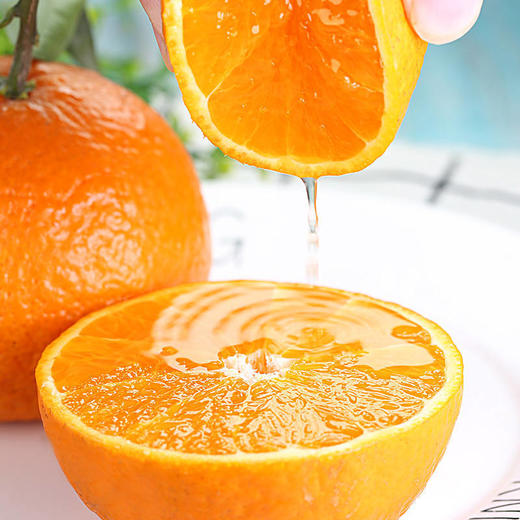 无酸度甜橙 珍珠手掰橙1袋约2000g 商品图7