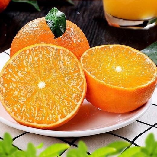 无酸度甜橙 珍珠手掰橙1袋约2000g 商品图6
