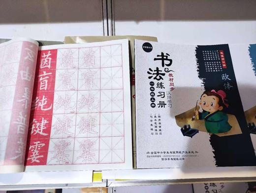 龙啸欧体汉拼书法练习册宣纸专用纸练字 商品图0