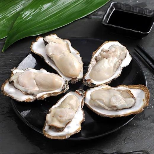 乳山生蚝 5斤装   新鲜水产 商品图0