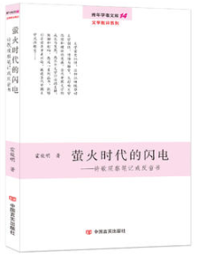 萤火时代的闪电 诗歌观察笔记或反省书（青年学者文库·文学批评系列）