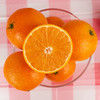 无酸度甜橙 珍珠手掰橙1袋约2000g 商品缩略图9