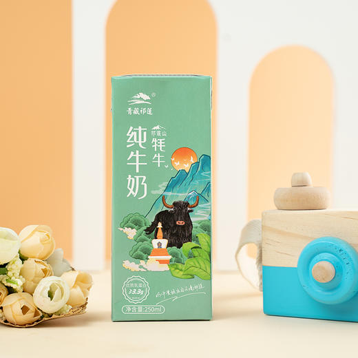 青藏祁莲牦牛纯牛奶青海祁连山成人学生高营养牛奶250ml*12支 商品图4