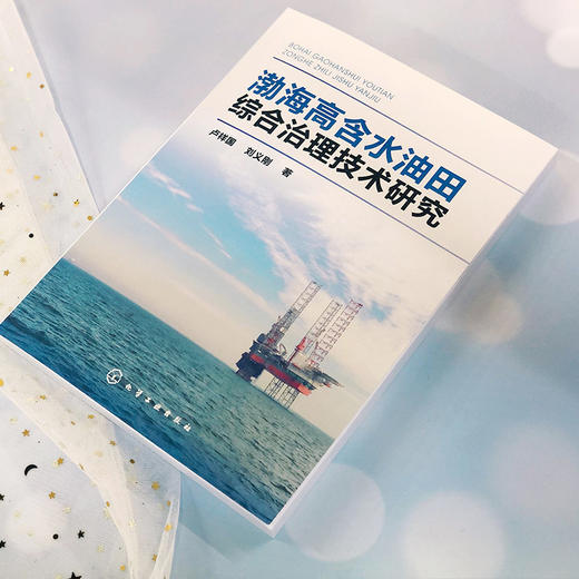 渤海高含水油田综合治理技术研究 卢祥国 刘义刚 商品图2