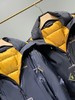 点此购买 始祖鸟男款金标连帽羽绒服外套 十一167188 商品缩略图9